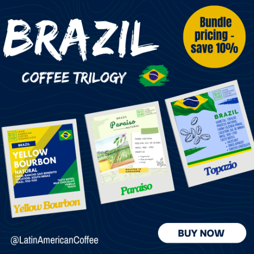 Brazil Coffee Trilogy Collection – Paraiso, Topazio, Yellow Bourbon - Natural Processed 200g x 3