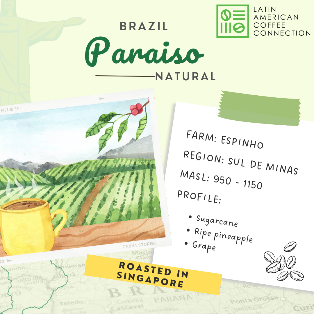 Brazil Paraiso Natural Coffeebeans from Sul de Minas, roasted in Singapore fresh 200g