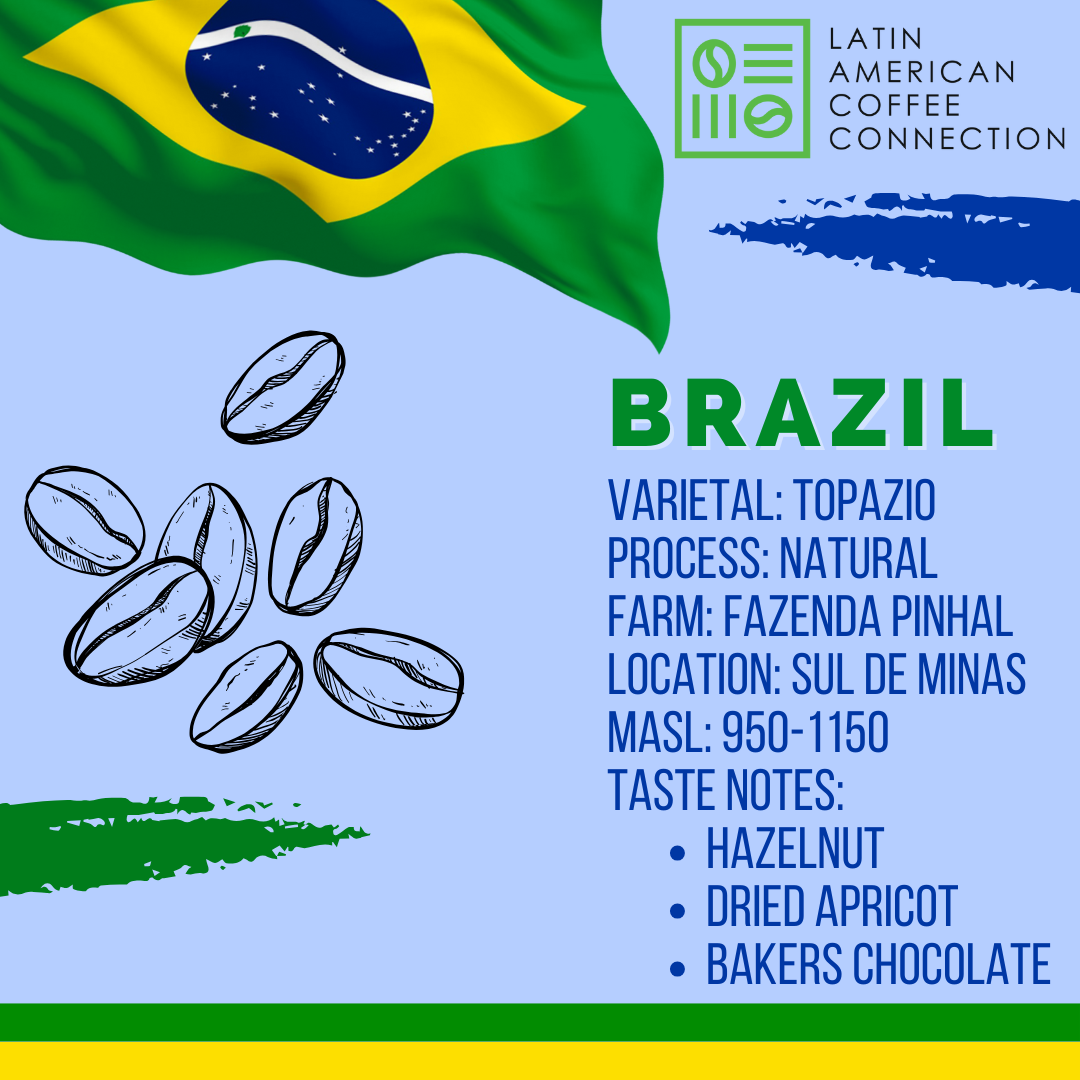 Brazil Topazio varietal, Natural Processed Arabica Coffee beans from Sul de Minas roasted fresh in Singapore 200g
