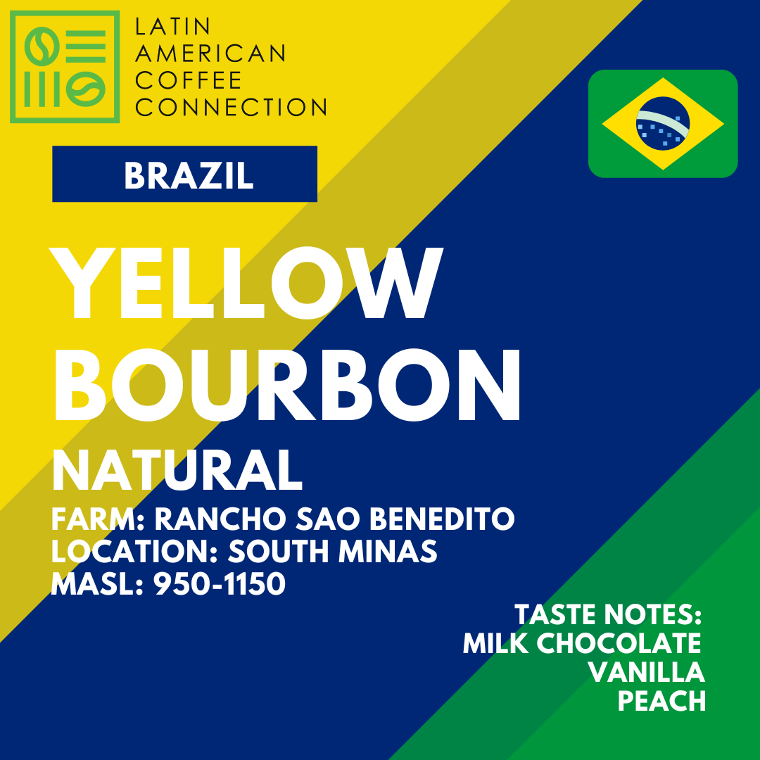 Brazil Yellow Bourbon Natural Arabica Coffee beans from South Minas, roasted in Singapore fresh 200g