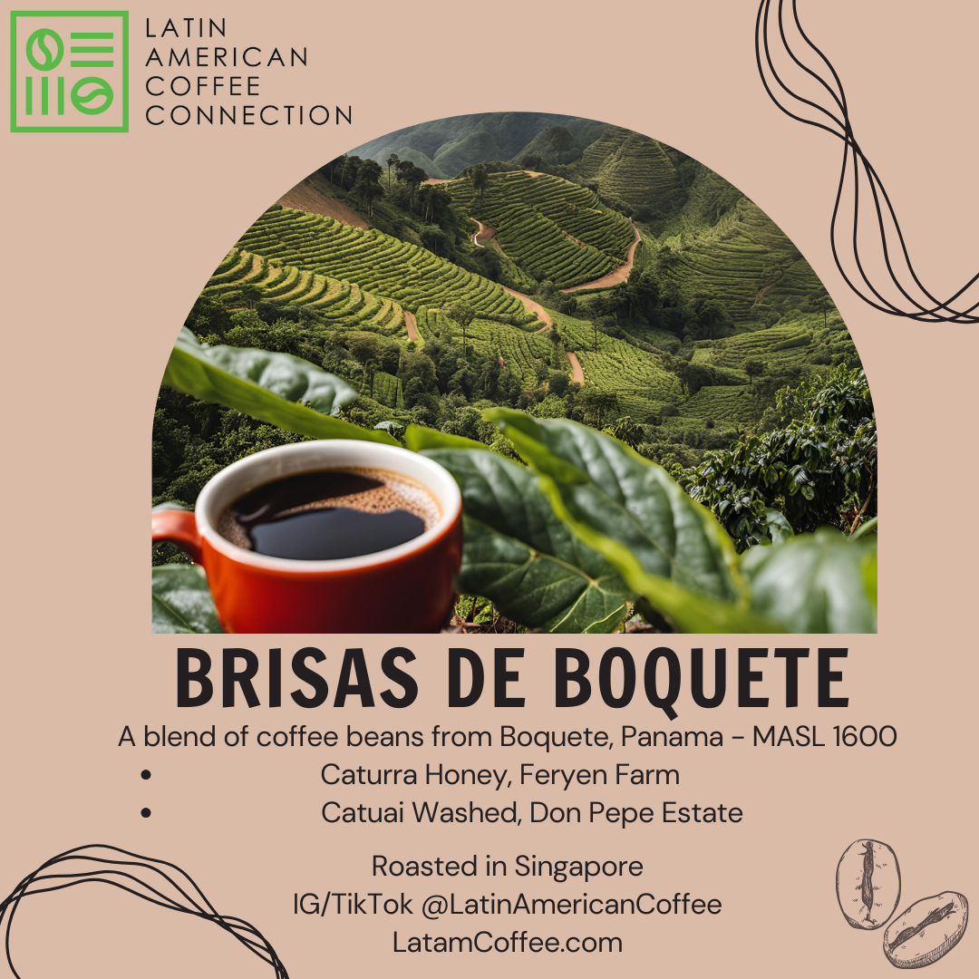 Brisas de Boquete Coffee Blend - coffee beans from Panama 200g roasted in Singapore
