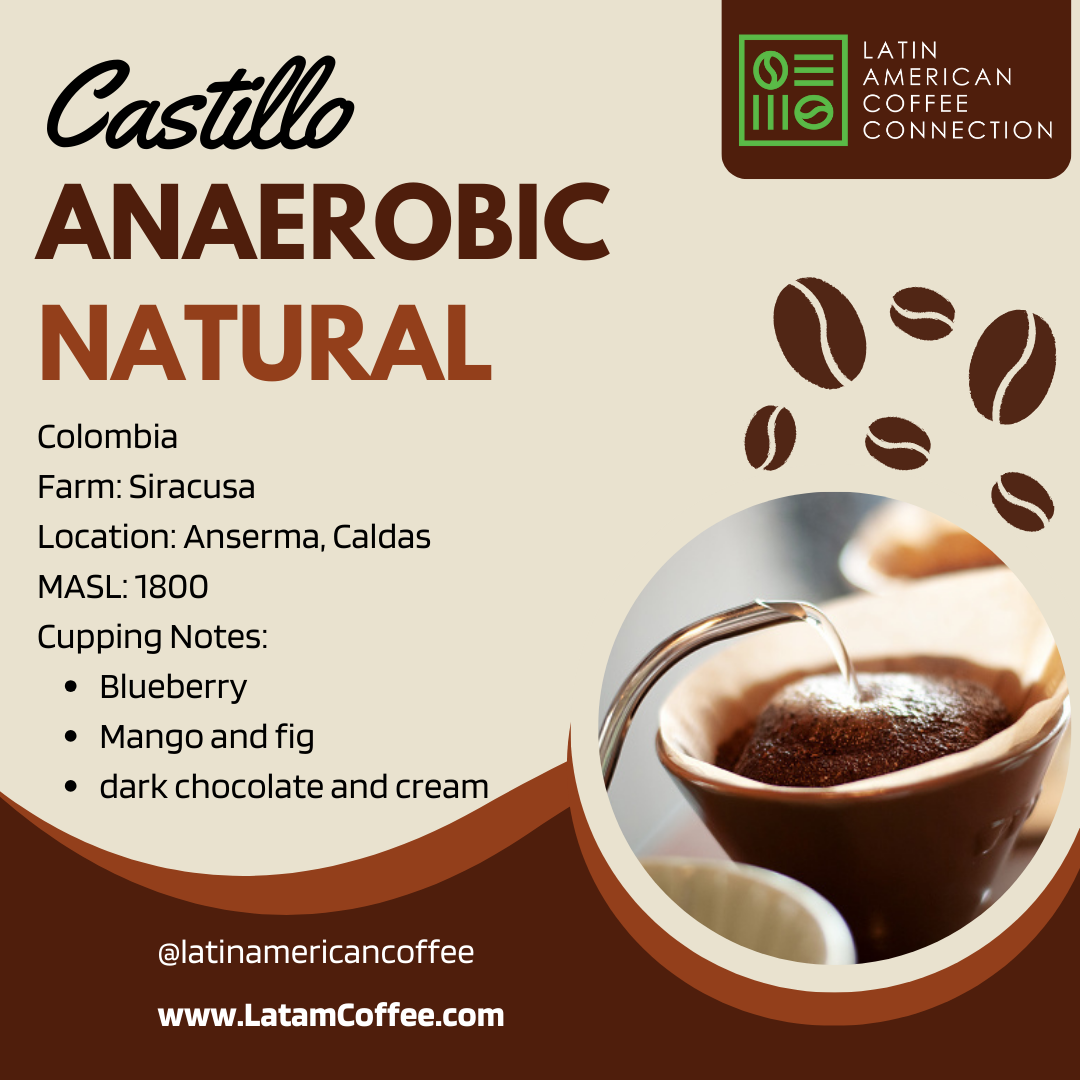 Castillo Anaerobic Natural - Roasted Arabica Coffee from Colombia - Siracusa Farm 250g