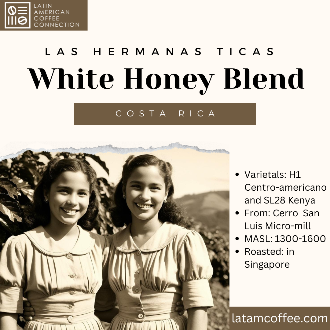 Las Hermanas Ticas Coffee Blend - coffee beans from Costa Rica 200g