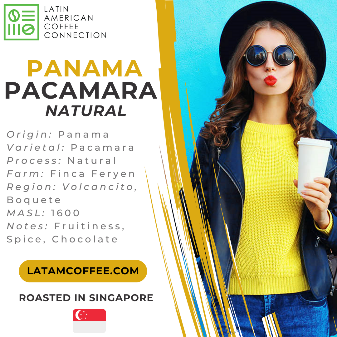Pacamara Natural - Specialty Coffee from Panama - Finca Feryen 500g