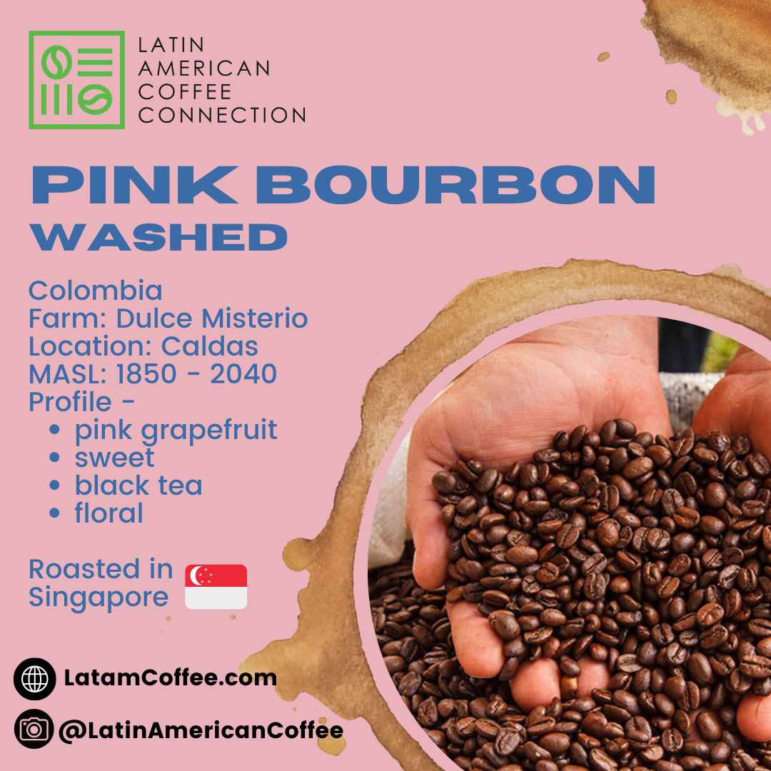 Pink Bourbon Washed - Roasted Arabica Coffee from Colombia - Dulce Misterio Farm 200g