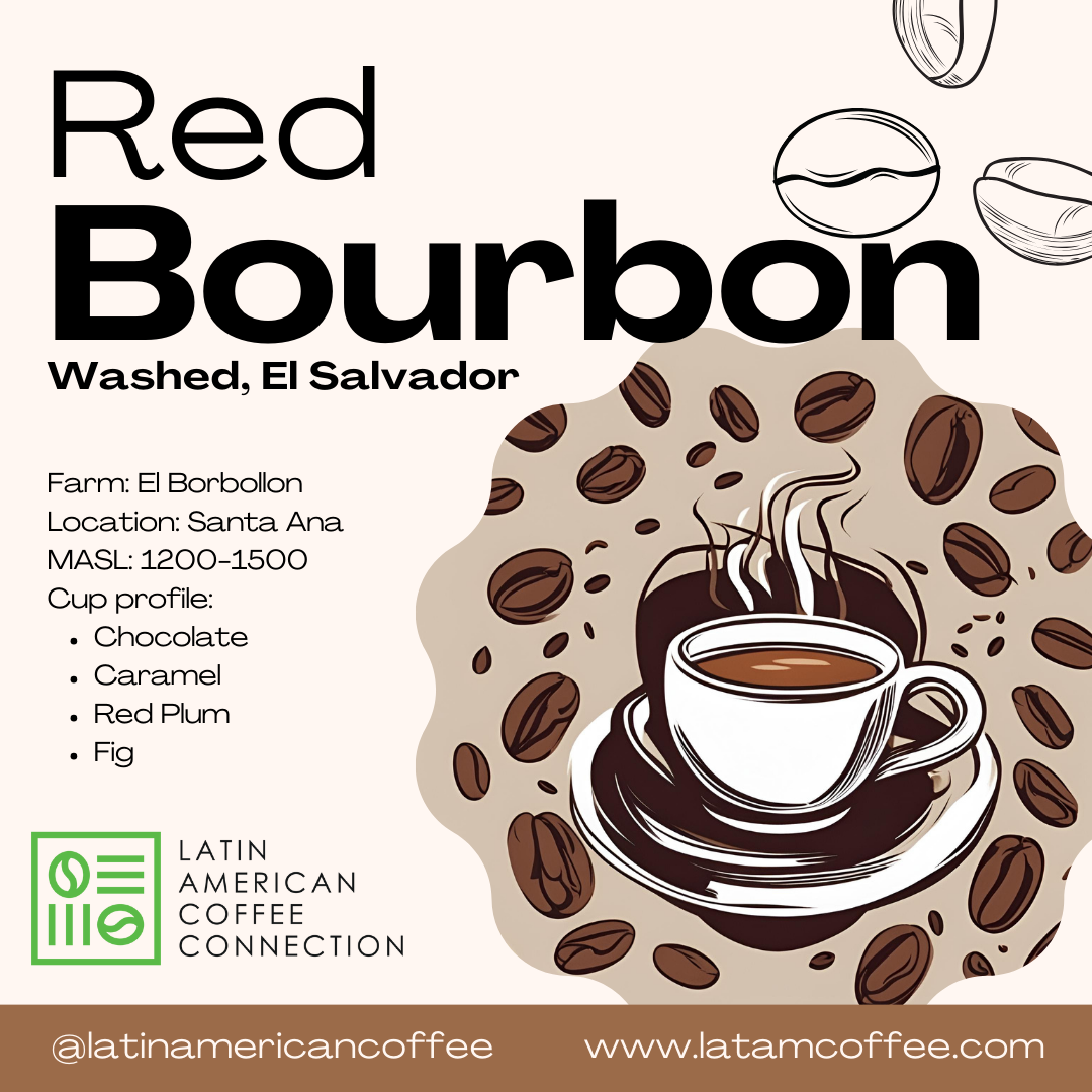 Red Bourbon Washed - Roasted Arabica Coffee from El Salvador - El Borbollon Farm 250g