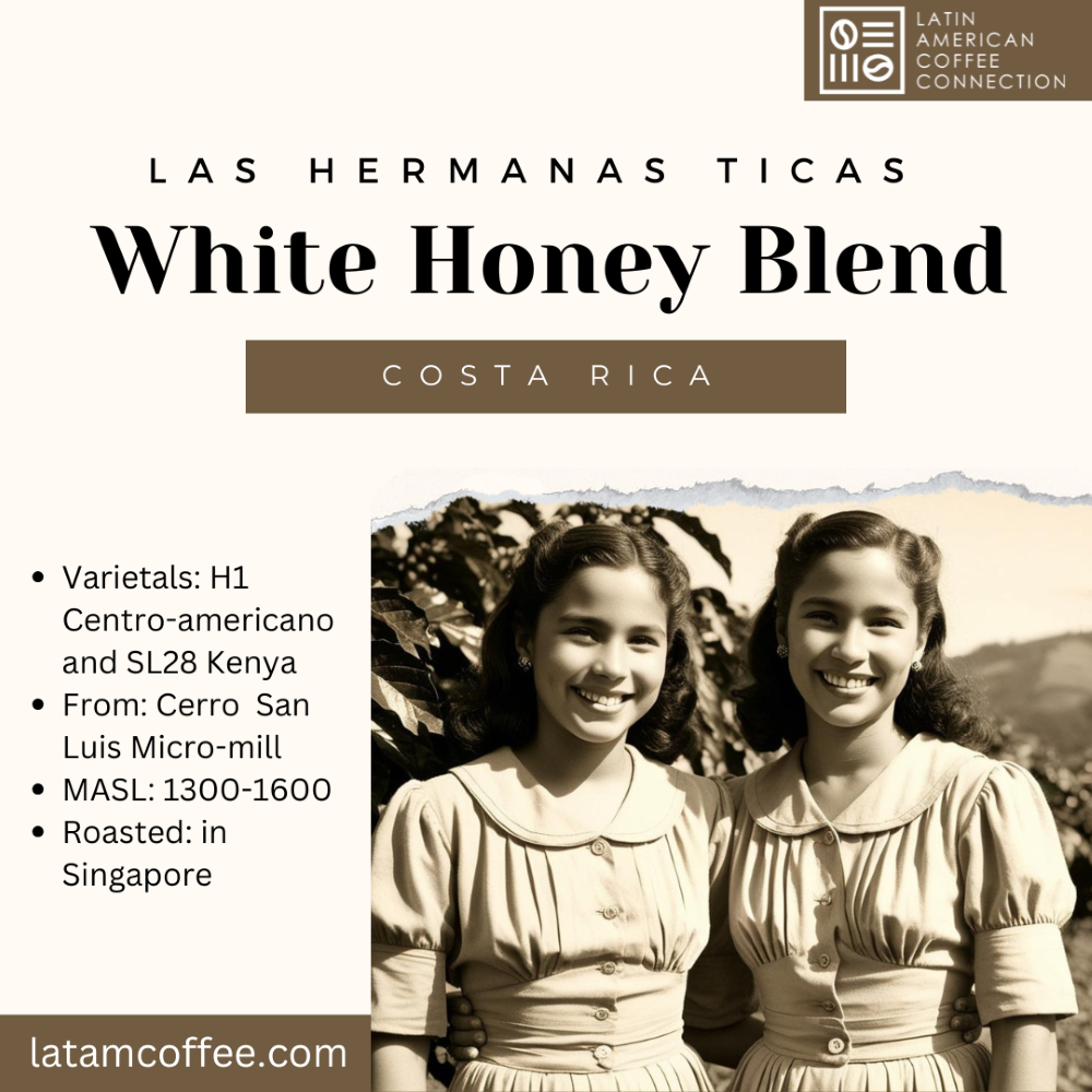 Las Hermanas Tica - Costa Rica Coffee Blend