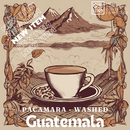 Pacamara Washed - Roasted Arabica Coffee from Guatemala - San Jose Las Moritas Farm 200g