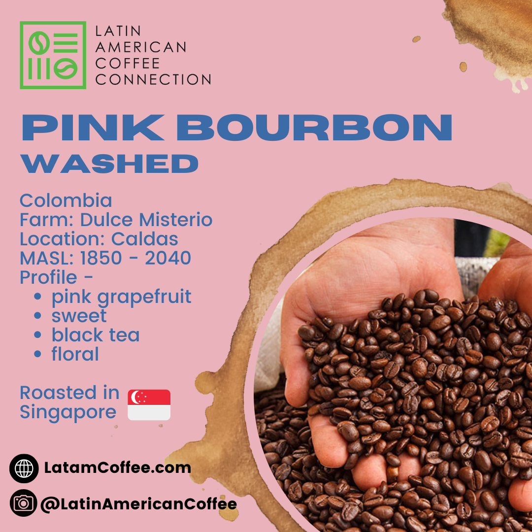 Pink Bourbon Washed  - Roasted Arabica Coffee from Colombia - Dulce Misterio Farm 200g