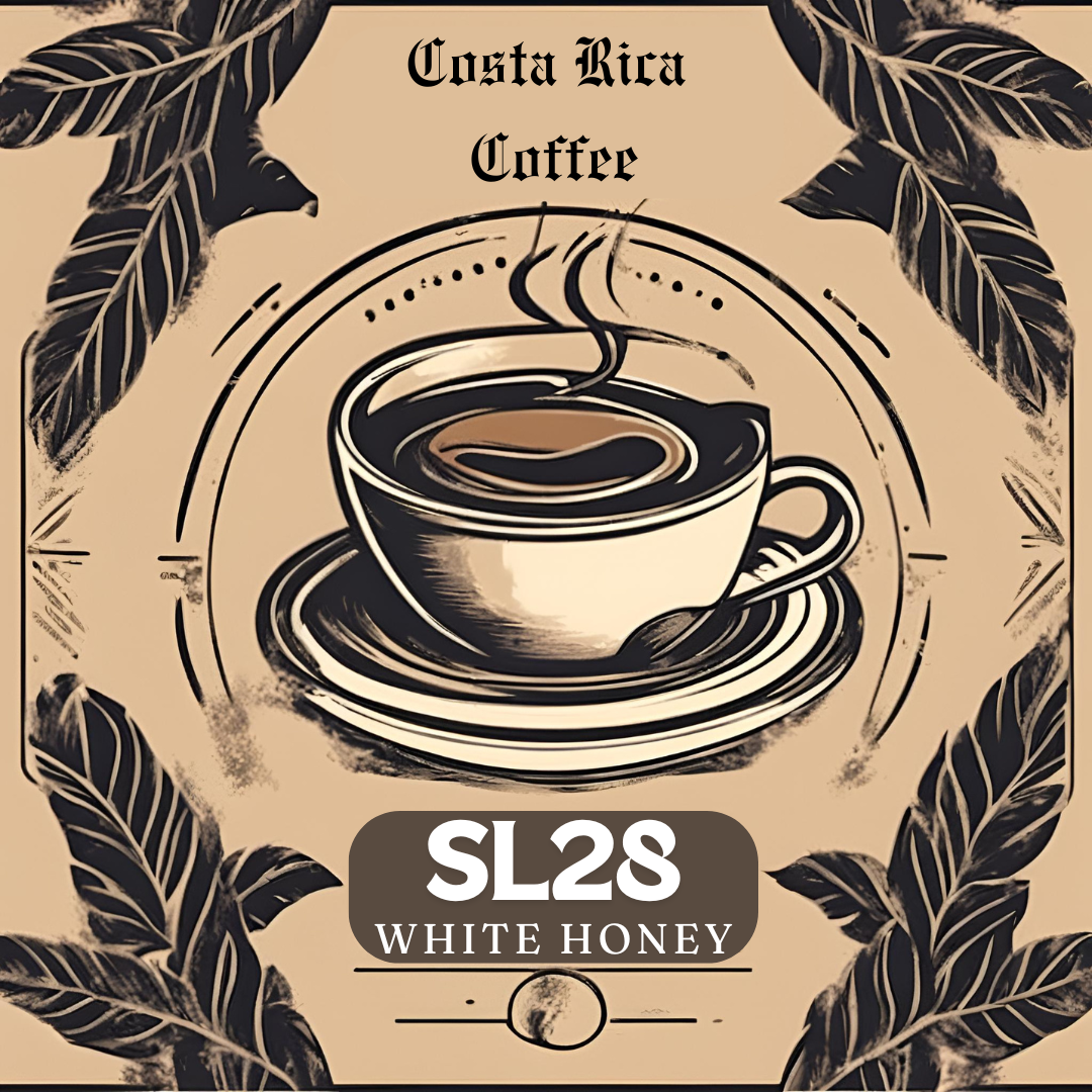 SL28 Kenya White Honey - Specialty Coffee from Costa Rica - El Venado ...