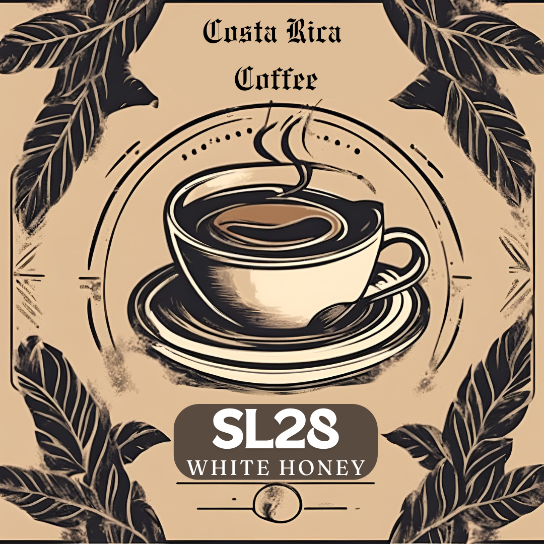 SL28 Kenya White Honey - Specialty Coffee from Costa Rica - El Venado Farm 500g